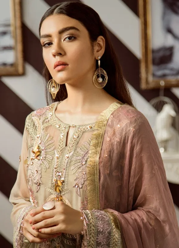 Elegant Pakistani designer ada worked dress in seattle mist color # P2322