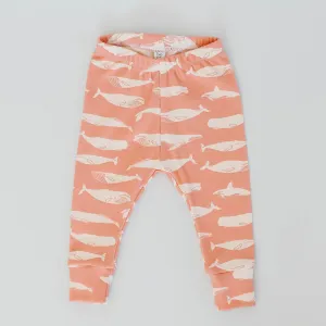 L E G G I N G S | Whales in Coral