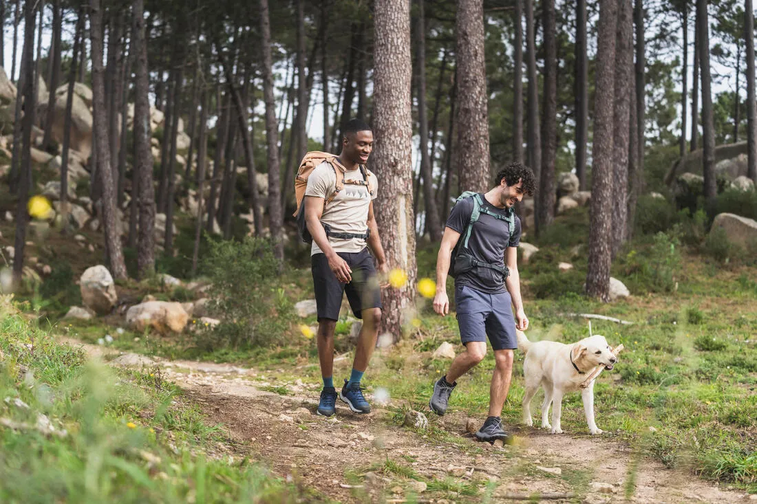 MH500 Men's Hiking Long Shorts