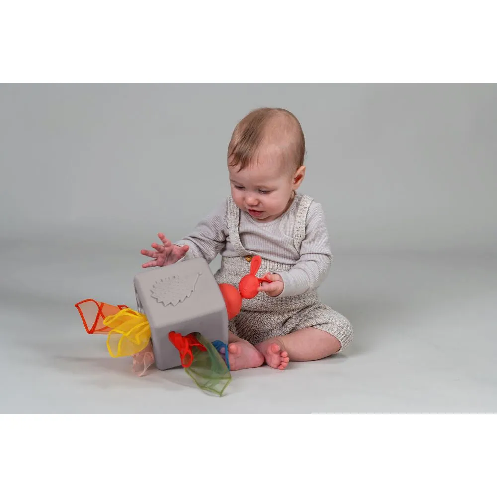 Taf Toys Pop-up Tissue Box
