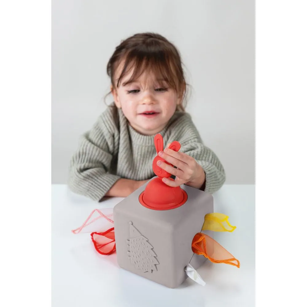 Taf Toys Pop-up Tissue Box