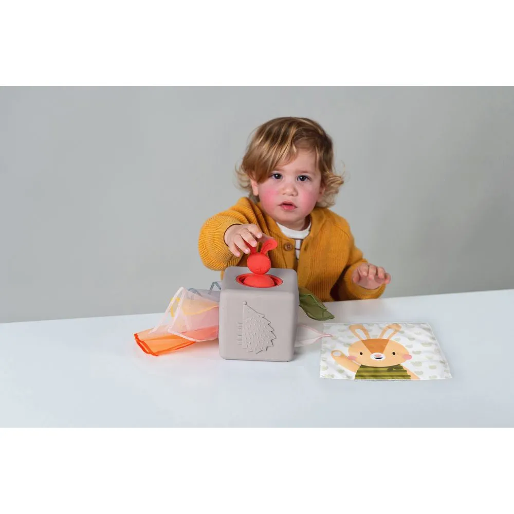 Taf Toys Pop-up Tissue Box