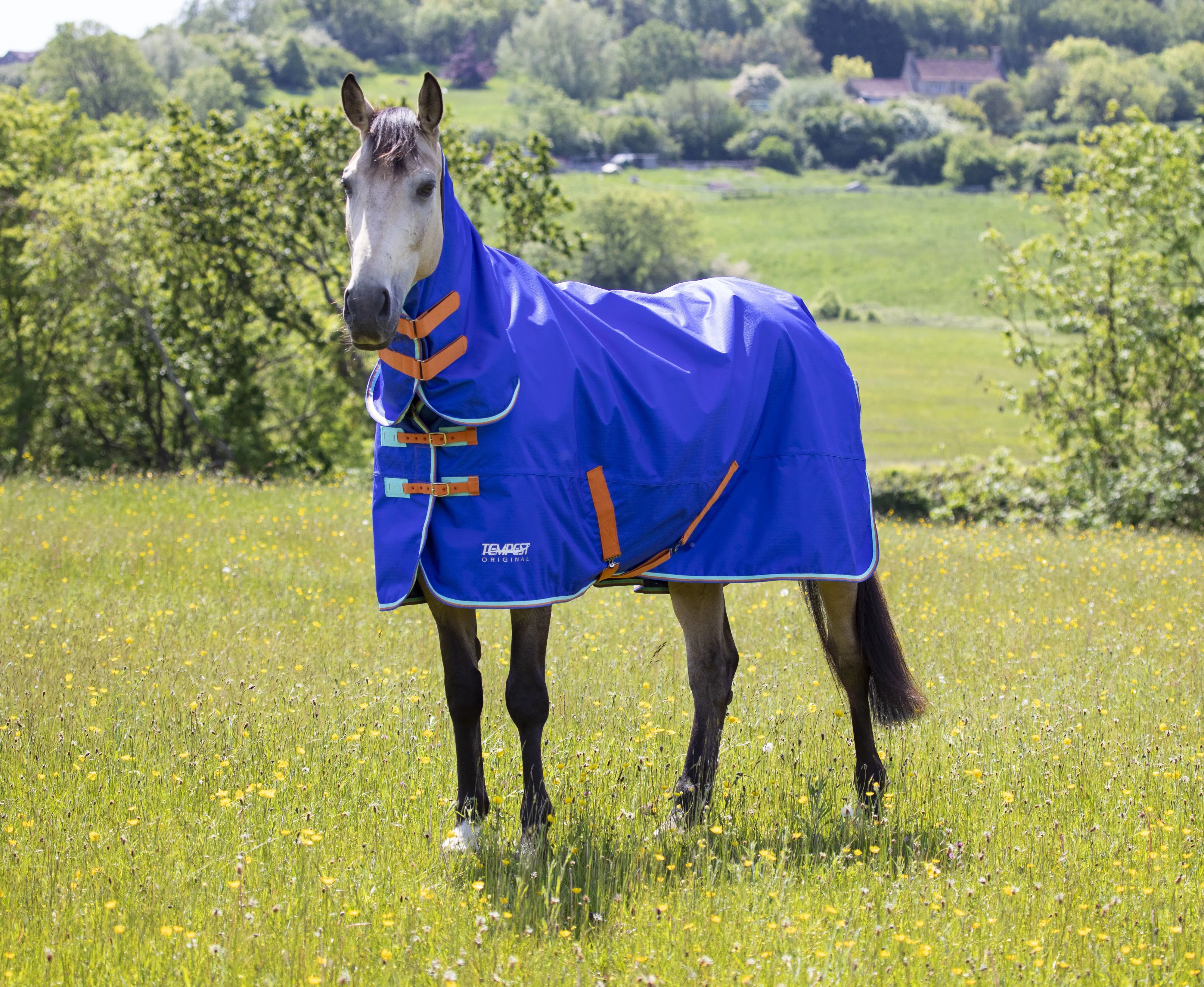 Tempest Original 50 Turnout Combo Rug